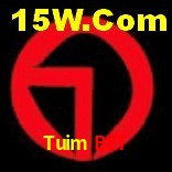 Ofertas Imperdíveis na Tuim Bet: Promoções e Bônus Que Valem a Pena